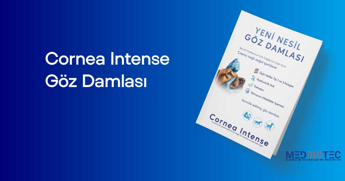 Köpeğe ve kediye cornea göz damlası uygulayan veteriner